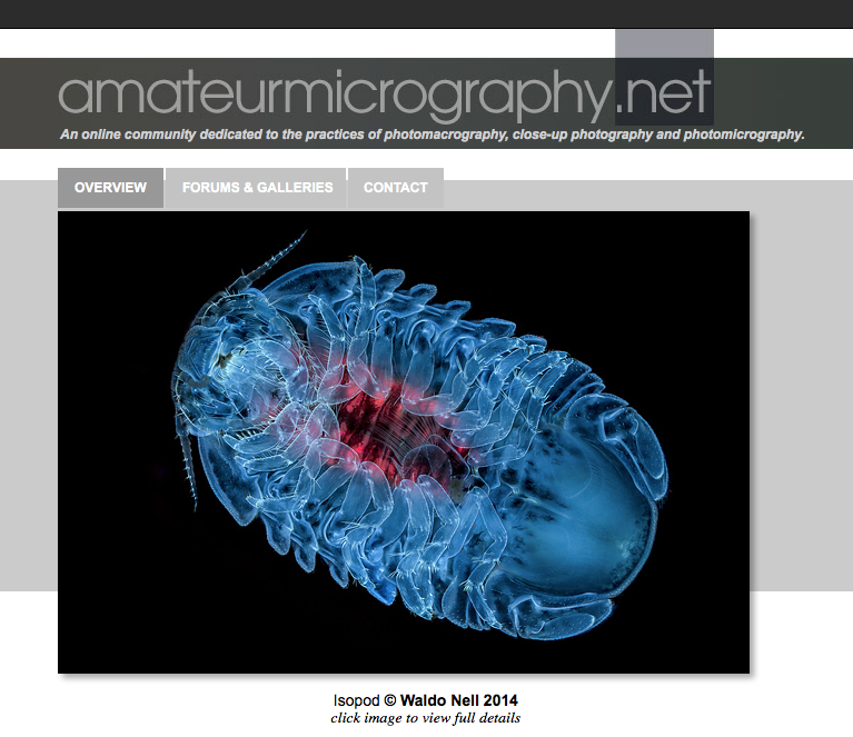 Front page of Amateurmicrography.net